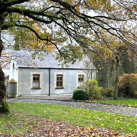 Country Garden House Holiday Homes バリマネー エクステリア 写真